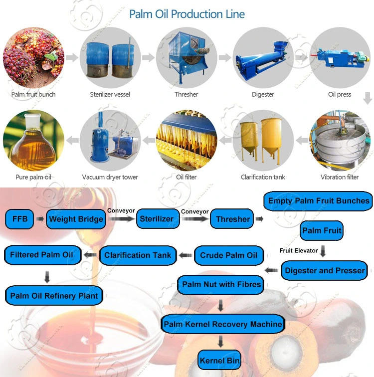 1t-5t/H Palm Oil Extraction Palm Oil Processing Pressing Machine in Africa